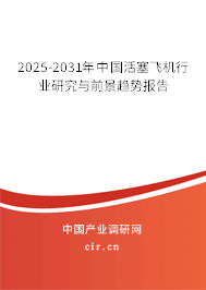 2025-2031年中國活塞飛機行業研究與前景趨勢報告