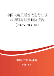 中國火電靈活性改造行業現狀調研與前景趨勢報告(2025-2031年) 中國火電靈活性改造行業現狀調研與前景趨勢報告(2025-2031年)