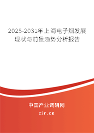 2025-2031年上海電子煙發展現狀與前景趨勢分析報告 2025-2031年上海電子煙發展現狀與前景趨勢分析報告
