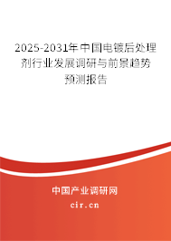 2025-2031年中國電鍍后處理劑行業發展調研與前景趨勢預測報告