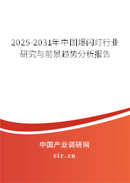 2025-2031年中國爆閃燈行業研究與前景趨勢分析報告 2025-2031年中國爆閃燈行業研究與前景趨勢分析報告