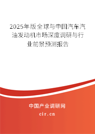 2025年版全球與中國汽車汽油發(fā)動機市場深度調(diào)研與行業(yè)前景預(yù)測報告