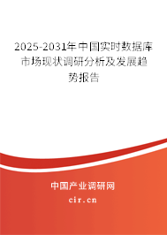 2025-2031年中國實時數據庫市場現狀調研分析及發展趨勢報告 2025-2031年中國實時數據庫市場現狀調研分析及發展趨勢報告