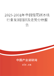 2025-2031年中國雪花制冰機行業發展回顧及走勢分析報告 2025-2031年中國雪花制冰機行業發展回顧及走勢分析報告