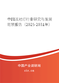 中國(guó)派對(duì)燈行業(yè)研究與發(fā)展前景報(bào)告（2025-2031年）