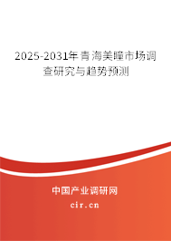 2025-2031年青海美瞳市場調查研究與趨勢預測 2025-2031年青海美瞳市場調查研究與趨勢預測