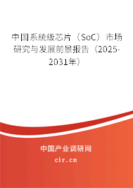 中國系統級芯片(SoC)市場研究與發展前景報告(2025-2031年) 中國系統級芯片(SoC)市場研究與發展前景報告(2025-2031年)