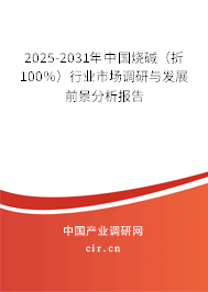2025-2031年中國燒堿(折100%)行業市場調研與發展前景分析報告 2025-2031年中國燒堿(折100%)行業市場調研與發展前景分析報告