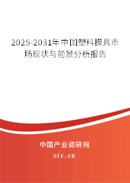 2025-2031年中國塑料模具市場現狀與前景分析報告 2025-2031年中國塑料模具市場現狀與前景分析報告