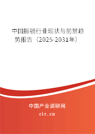 中國振鏡行業現狀與前景趨勢報告(2025-2031年) 中國振鏡行業現狀與前景趨勢報告(2025-2031年)