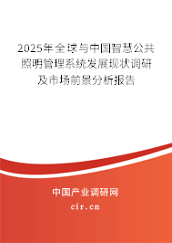 2025年全球與中國智慧公共照明管理系統發展現狀調研及市場前景分析報告 2025年全球與中國智慧公共照明管理系統發展現狀調研及市場前景分析報告
