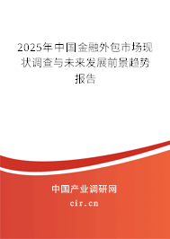 2025年中國金融外包市場現狀調查與未來發展前景趨勢報告 2025年中國金融外包市場現狀調查與未來發展前景趨勢報告