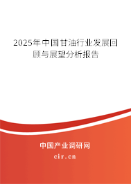 (最新)中國甘油行業發展回顧與展望分析報告 (最新)中國甘油行業發展回顧與展望分析報告