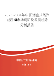 2024-2030年中國活塞式蒸汽減壓閥市場調(diào)研及發(fā)展趨勢分析報告 2024-2030年中國活塞式蒸汽減壓閥市場調(diào)研及發(fā)展趨勢分析報告