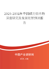 2025-2031年中國磁力鎖市場深度研究及發(fā)展前景預(yù)測報告