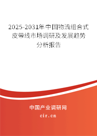 2025-2031年中國物流組合式皮帶線市場調研及發展趨勢分析報告