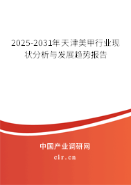2025-2031年天津美甲行業現狀分析與發展趨勢報告 2025-2031年天津美甲行業現狀分析與發展趨勢報告
