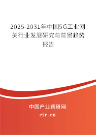 2025-2031年中國5G工業網關行業發展研究與前景趨勢報告 2025-2031年中國5G工業網關行業發展研究與前景趨勢報告