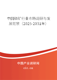 中國磷礦行業市場調研與發展前景（2025-2031年）