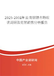 2025-2031年云南鋼鐵市場現狀調研及前景趨勢分析報告 2025-2031年云南鋼鐵市場現狀調研及前景趨勢分析報告