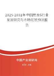 2025-2031年中國尼龍6行業發展研究與市場前景預測報告 2025-2031年中國尼龍6行業發展研究與市場前景預測報告