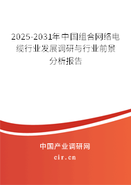 2025-2031年中國組合網絡電纜行業發展調研與行業前景分析報告 2025-2031年中國組合網絡電纜行業發展調研與行業前景分析報告