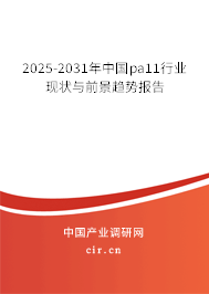 2025-2031年中國pa11行業(yè)現(xiàn)狀與前景趨勢報告 2025-2031年中國pa11行業(yè)現(xiàn)狀與前景趨勢報告