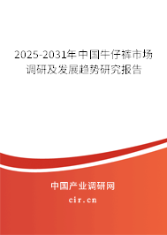 2025-2031年中國牛仔褲市場調研及發展趨勢研究報告 2025-2031年中國牛仔褲市場調研及發展趨勢研究報告