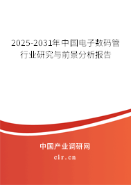2025-2031年中國電子數碼管行業研究與前景分析報告