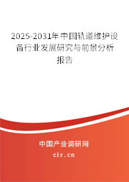 2024-2030年中國軌道維護設備行業發展研究與前景分析報告