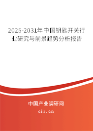 2024-2030年中國鑰匙開關(guān)行業(yè)研究與前景趨勢分析報告