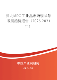 湖北MRO工業品市場現狀與發展趨勢報告(2025-2031年) 湖北MRO工業品市場現狀與發展趨勢報告(2025-2031年)