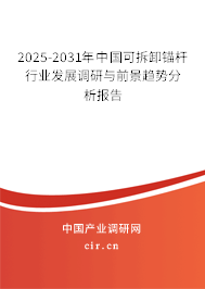 2025-2031年中國可拆卸錨桿行業發展調研與前景趨勢分析報告