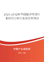 2025-2031年中國鍋爐用煤行業研究分析與發展前景預測
