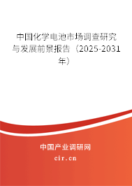 中國化學電池市場調查研究與發展前景報告(2025-2031年) 中國化學電池市場調查研究與發展前景報告(2025-2031年)