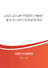 2025-2031年中國液壓閘閥行業現狀分析與前景趨勢預測 2025-2031年中國液壓閘閥行業現狀分析與前景趨勢預測