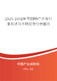 2025-2031年中國地產開發行業現狀與市場前景分析報告
