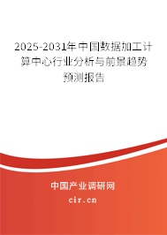 2025-2031年中國數據加工計算中心行業分析與前景趨勢預測報告 2025-2031年中國數據加工計算中心行業分析與前景趨勢預測報告