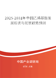 2025-2031年中國乙烯基酯發展現狀與前景趨勢預測 2025-2031年中國乙烯基酯發展現狀與前景趨勢預測