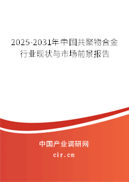 2025-2031年中國共聚物合金行業(yè)現(xiàn)狀與市場前景報告 2025-2031年中國共聚物合金行業(yè)現(xiàn)狀與市場前景報告