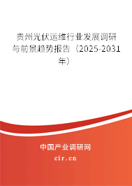 貴州光伏運維行業發展調研與前景趨勢報告(2025-2031年) 貴州光伏運維行業發展調研與前景趨勢報告(2025-2031年)