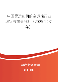 中國貨運包機航空運輸行業(yè)現(xiàn)狀與前景分析(2025-2031年) 中國貨運包機航空運輸行業(yè)現(xiàn)狀與前景分析(2025-2031年)