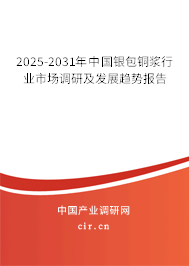 2025-2031年中國銀包銅漿行業市場調研及發展趨勢報告 2025-2031年中國銀包銅漿行業市場調研及發展趨勢報告