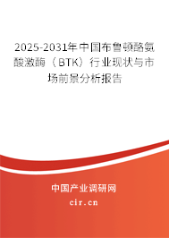 2025-2031年中國布魯頓酪氨酸激酶（BTK）行業現狀與市場前景分析報告