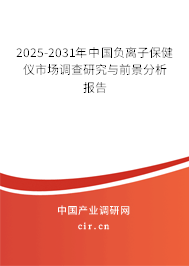 2025-2031年中國負離子保健儀市場調查研究與前景分析報告