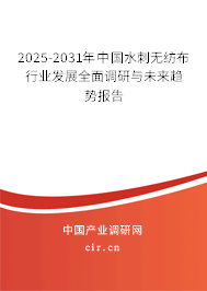 2025-2031年中國水刺無紡布行業發展全面調研與未來趨勢報告 2025-2031年中國水刺無紡布行業發展全面調研與未來趨勢報告