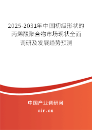 2025-2031年中國初級形狀的丙烯酸聚合物市場現狀全面調研及發展趨勢預測 2025-2031年中國初級形狀的丙烯酸聚合物市場現狀全面調研及發展趨勢預測