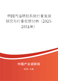 中國汽油噴射系統行業發展研究與行業前景分析(2025-2031年) 中國汽油噴射系統行業發展研究與行業前景分析(2025-2031年)