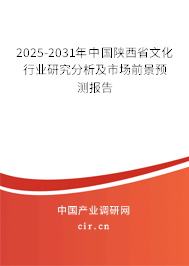 2025-2031年中國陜西省文化行業研究分析及市場前景預測報告 2025-2031年中國陜西省文化行業研究分析及市場前景預測報告