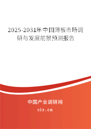 2025-2031年中國薄板市場調研與發展前景預測報告